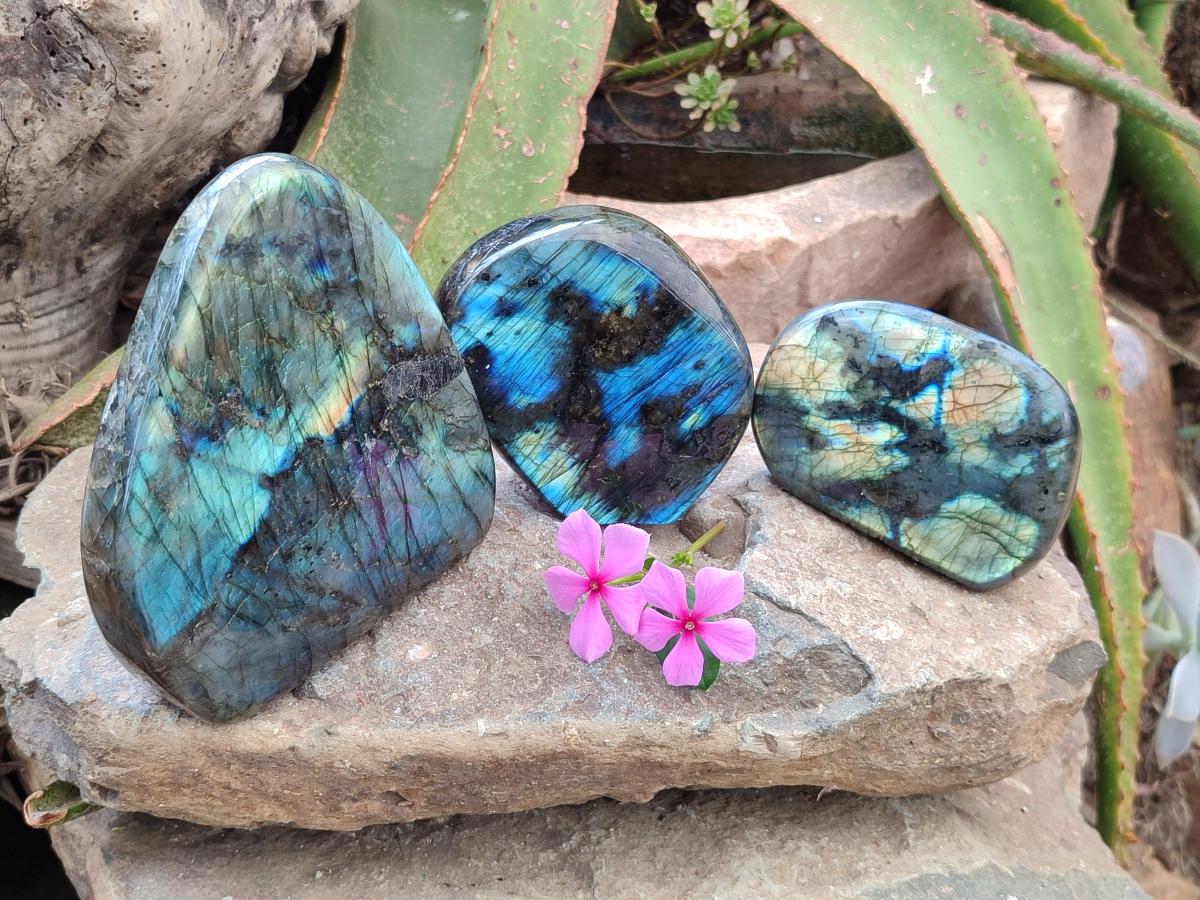 Polished Labradorite Standing Free Forms x 3 From Madagascar