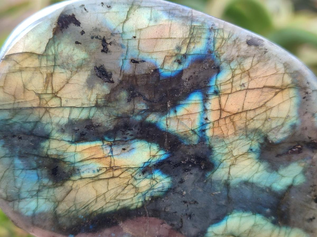 Polished Labradorite Standing Free Forms x 3 From Madagascar