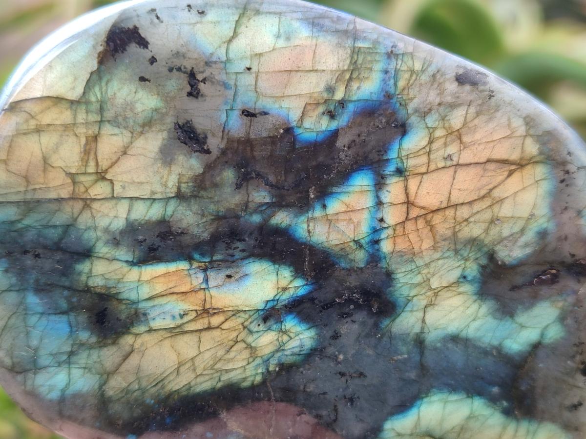 Polished Labradorite Standing Free Forms x 3 From Madagascar