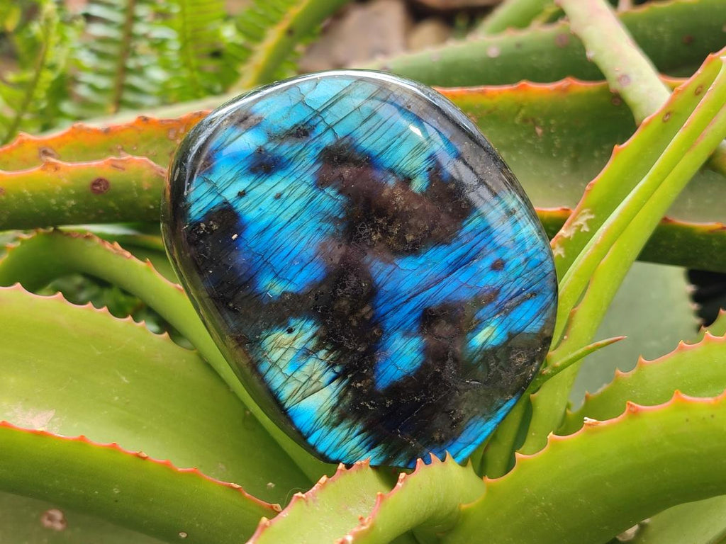 Polished Labradorite Standing Free Forms x 3 From Madagascar