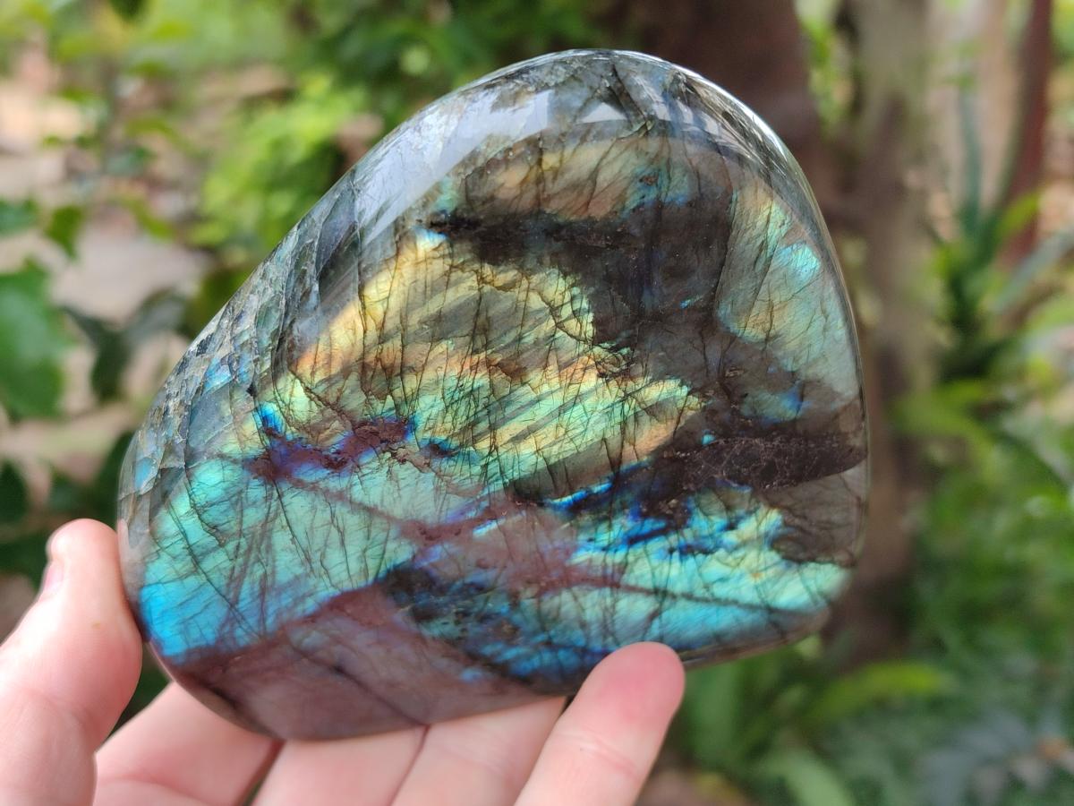 Polished Labradorite Standing Free Forms x 3 From Madagascar