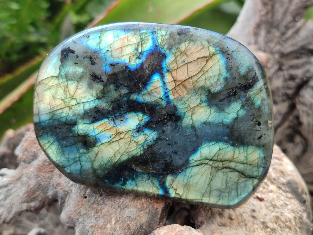 Polished Labradorite Standing Free Forms x 3 From Madagascar