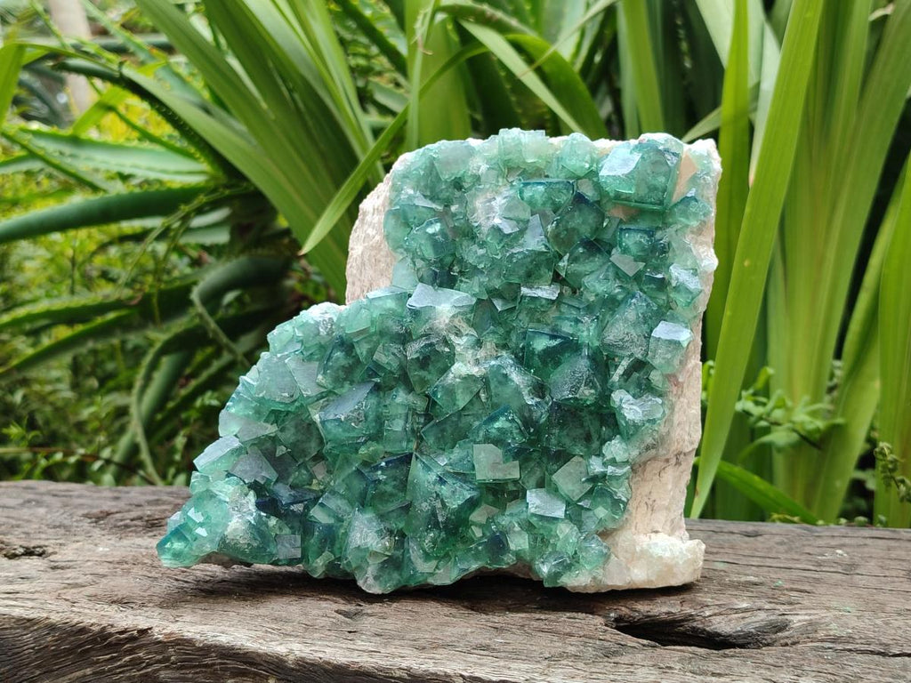 Natural Large Cubic Green Fluorite Cluster Specimen x 1 From Mandrosonoro, Madagascar