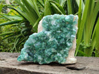 Natural Large Cubic Green Fluorite Cluster Specimen x 1 From Mandrosonoro, Madagascar