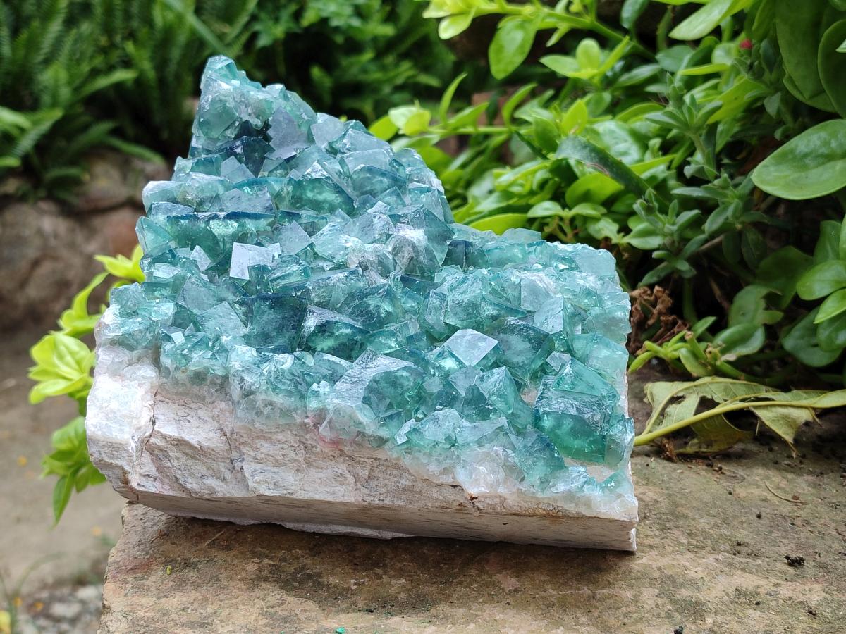 Natural Large Cubic Green Fluorite Cluster Specimen x 1 From Mandrosonoro, Madagascar