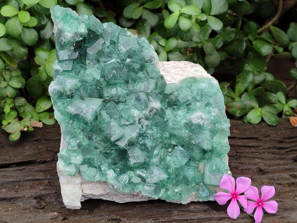 Natural Large Cubic Green Fluorite Cluster Specimen x 1 From Mandrosonoro, Madagascar