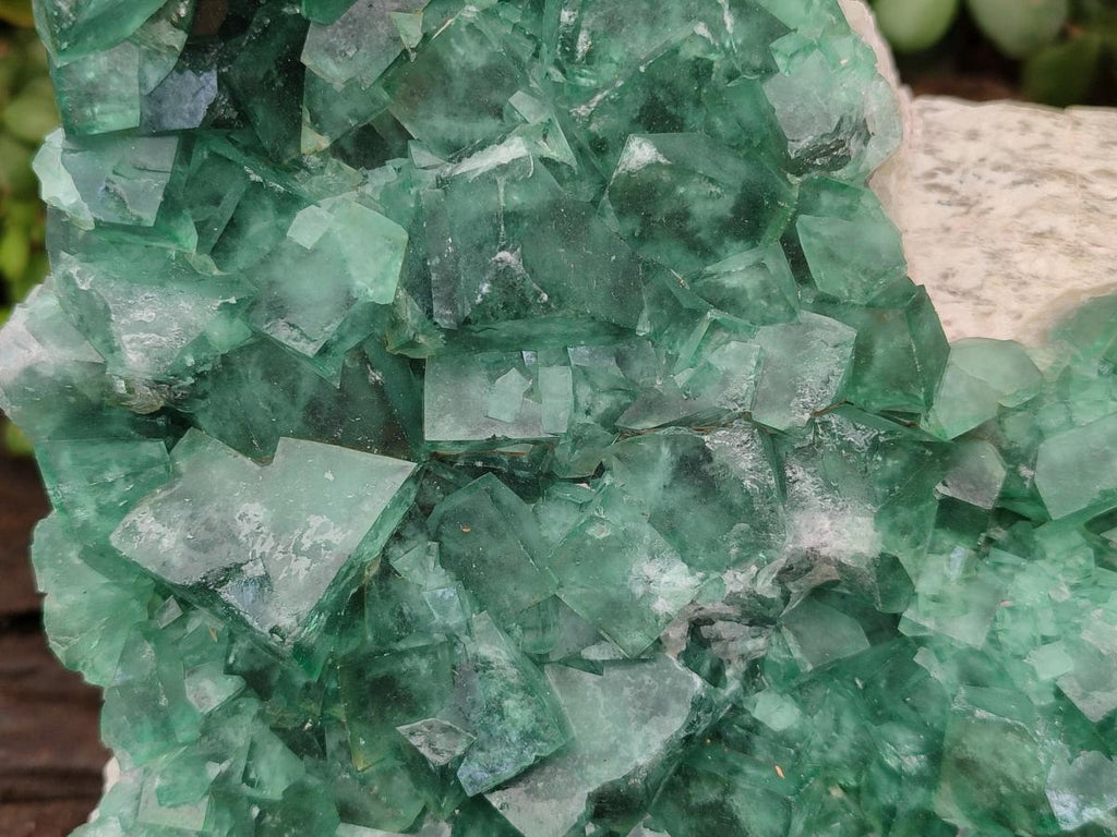 Natural Large Cubic Green Fluorite Cluster Specimen x 1 From Mandrosonoro, Madagascar
