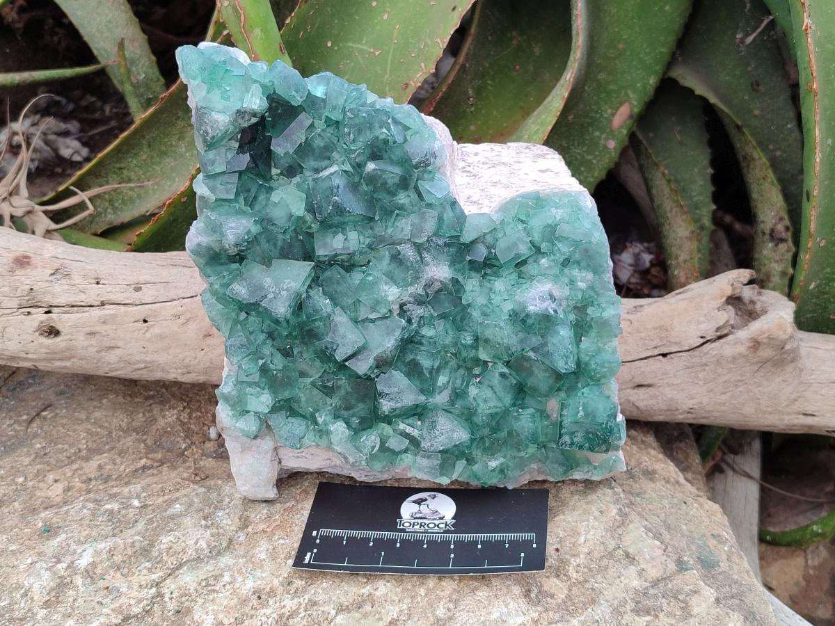 Natural Large Cubic Green Fluorite Cluster Specimen x 1 From Mandrosonoro, Madagascar