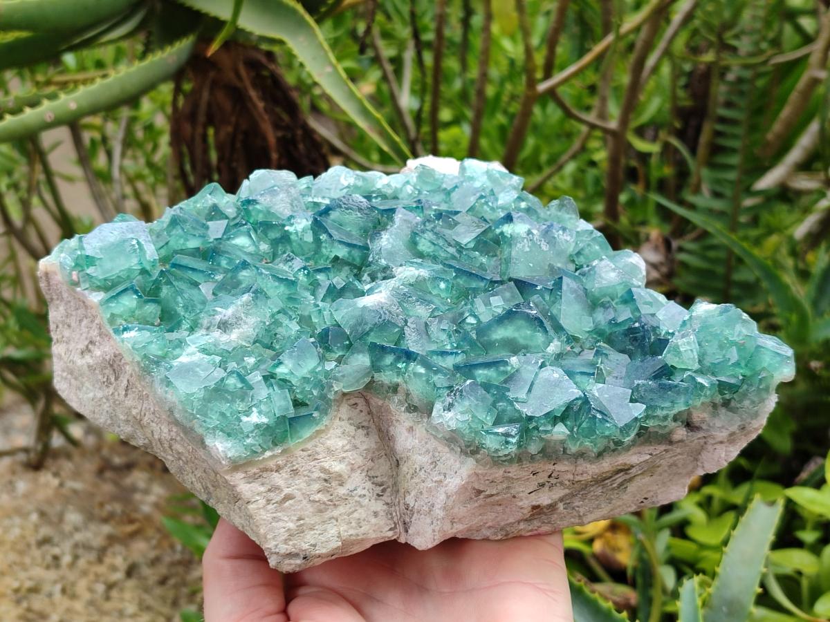 Natural Large Cubic Green Fluorite Cluster Specimen x 1 From Mandrosonoro, Madagascar
