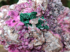 Natural Salrose Cobaltion Dolomite with Silky Malachite Specimens x 2 From Kakanda, Congo