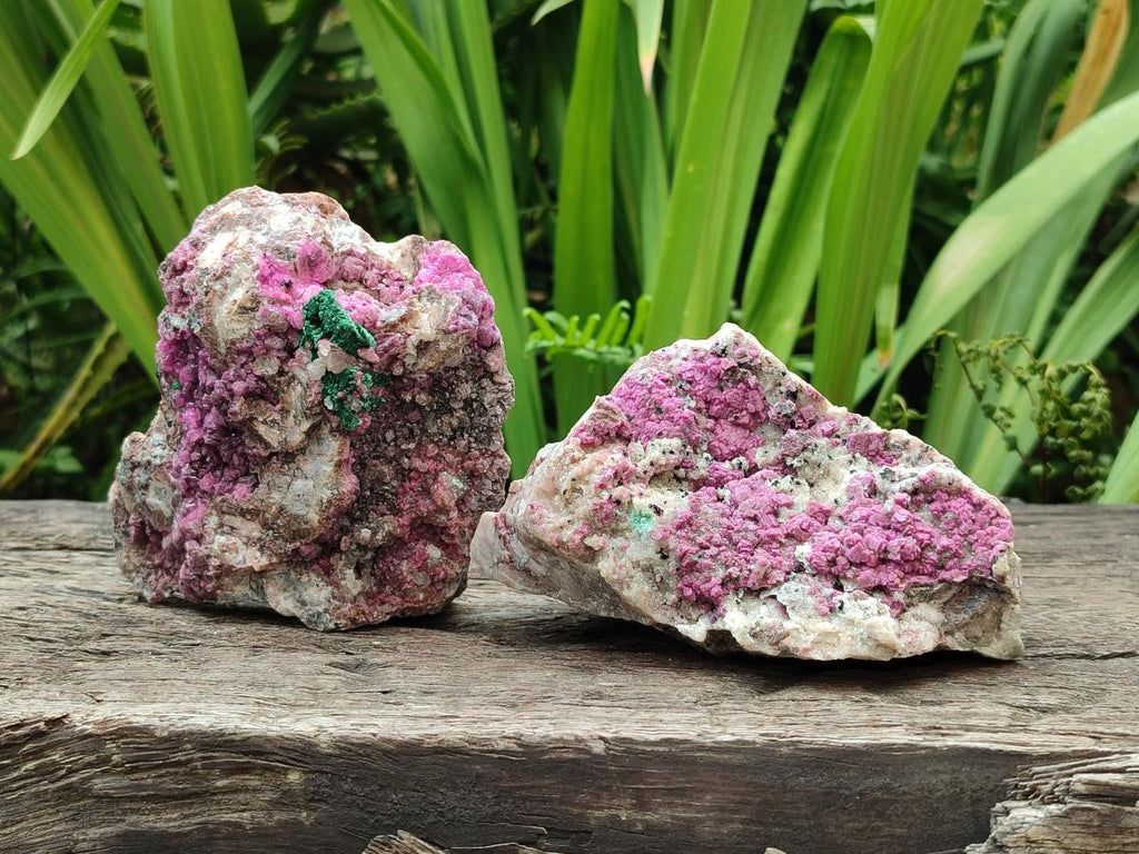 Natural Salrose Cobaltion Dolomite with Silky Malachite Specimens x 2 From Kakanda, Congo