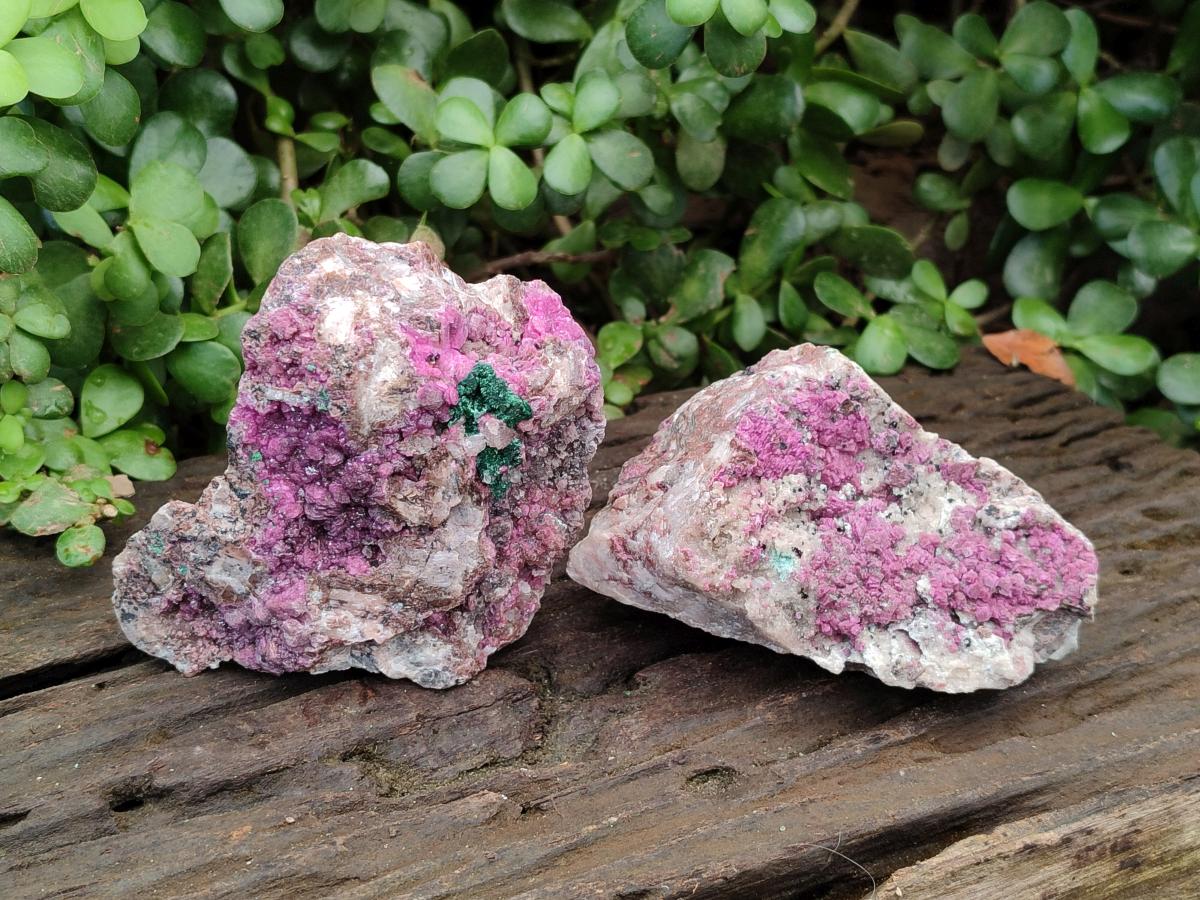 Natural Salrose Cobaltion Dolomite with Silky Malachite Specimens x 2 From Kakanda, Congo