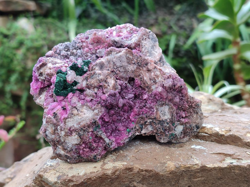 Natural Salrose Cobaltion Dolomite with Silky Malachite Specimens x 2 From Kakanda, Congo