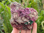 Natural Salrose Cobaltion Dolomite with Silky Malachite Specimens x 2 From Kakanda, Congo