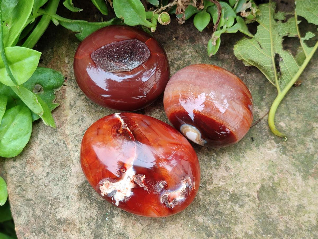 Polished Carnelian Agate Gemstone Galets x 12 From Madagascar