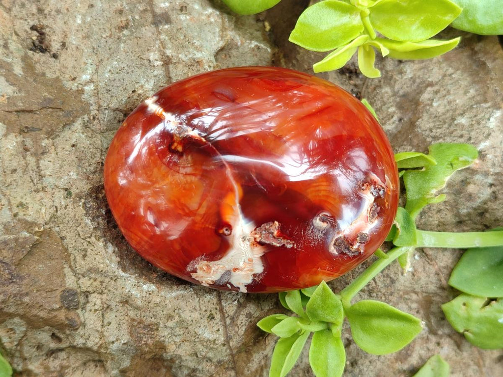 Polished Carnelian Agate Gemstone Galets x 12 From Madagascar