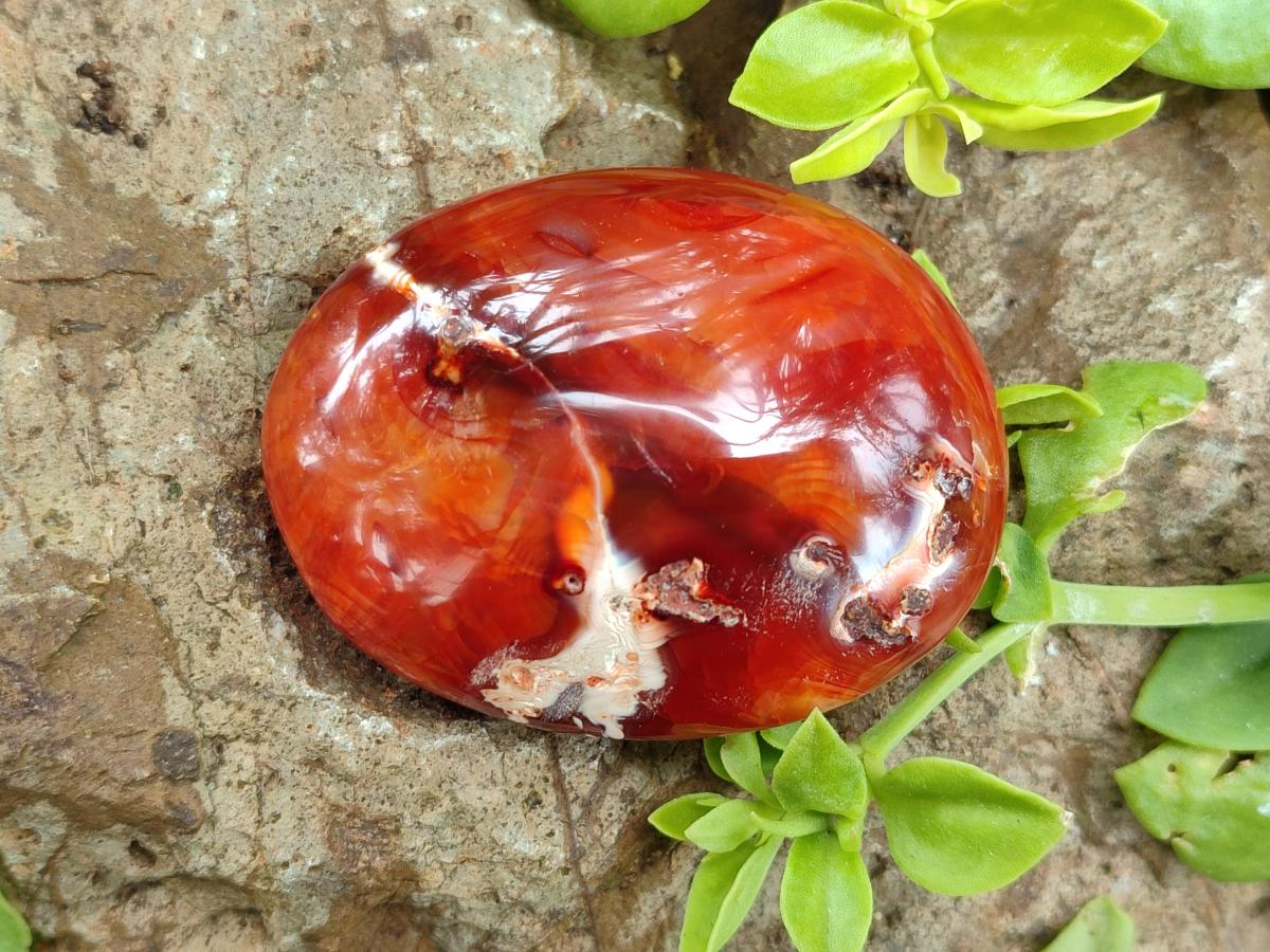 Polished Carnelian Agate Gemstone Galets x 12 From Madagascar