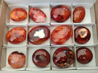 Polished Carnelian Agate Gemstone Galets x 12 From Madagascar