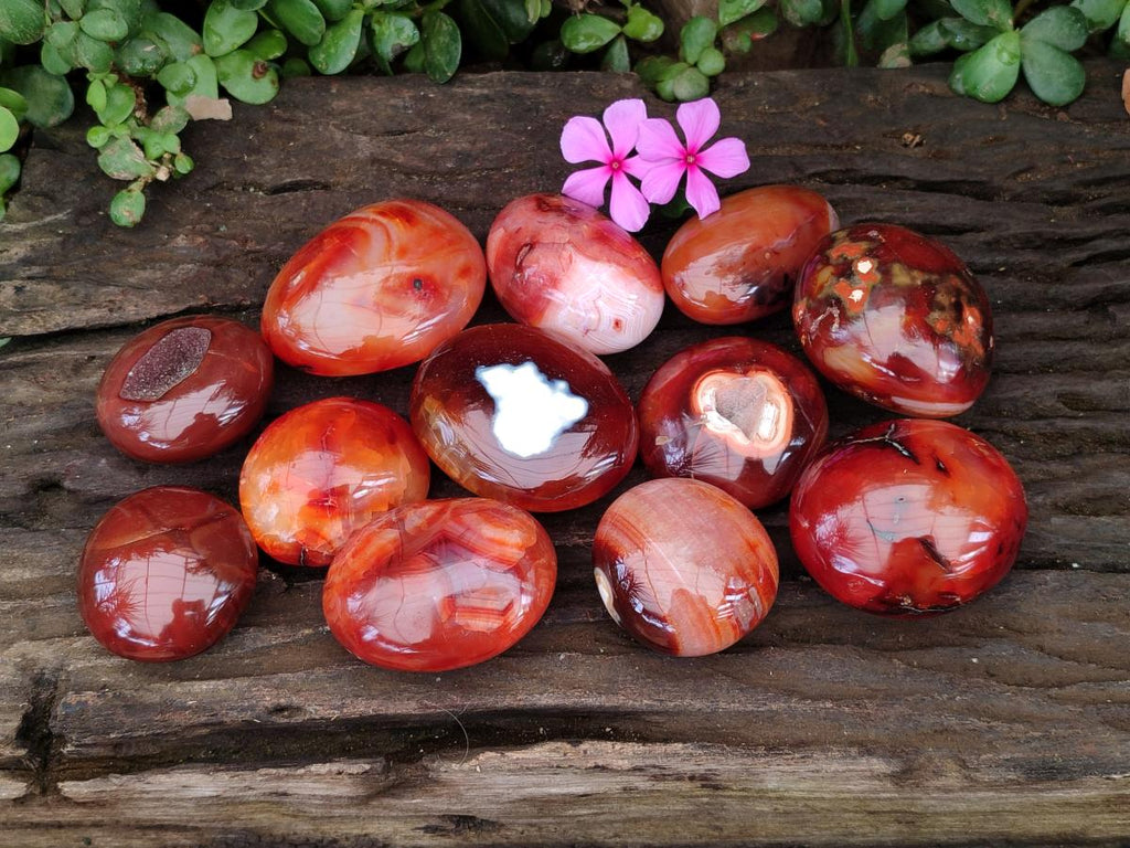 Polished Carnelian Agate Gemstone Galets x 12 From Madagascar