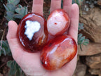 Polished Carnelian Agate Gemstone Galets x 12 From Madagascar