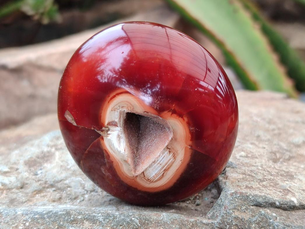 Polished Carnelian Agate Gemstone Galets x 12 From Madagascar