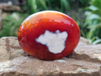 Polished Carnelian Agate Gemstone Galets x 12 From Madagascar