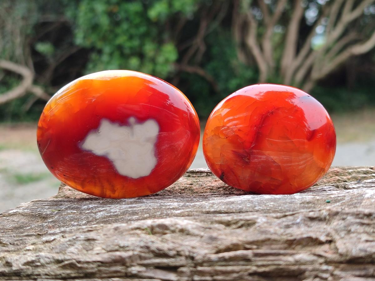 Polished Carnelian Agate Gemstone Galets x 12 From Madagascar