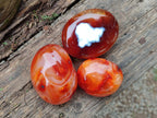 Polished Carnelian Agate Gemstone Galets x 12 From Madagascar