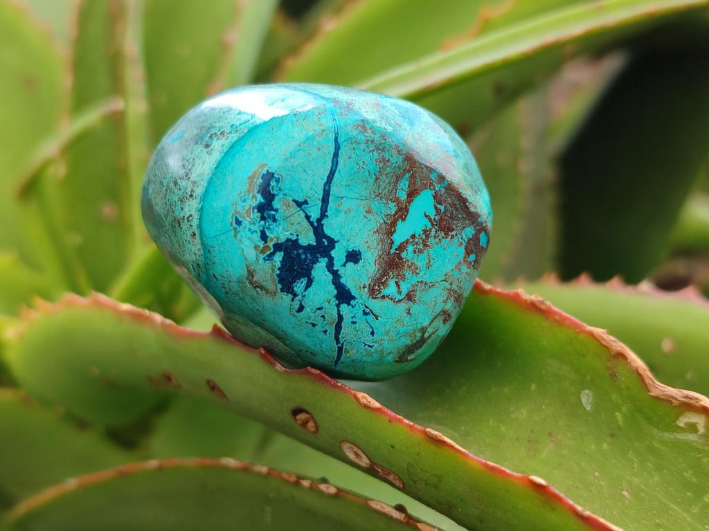 Polished Shattuckite Free Forms x 6 From Kaokoveld, Namibia