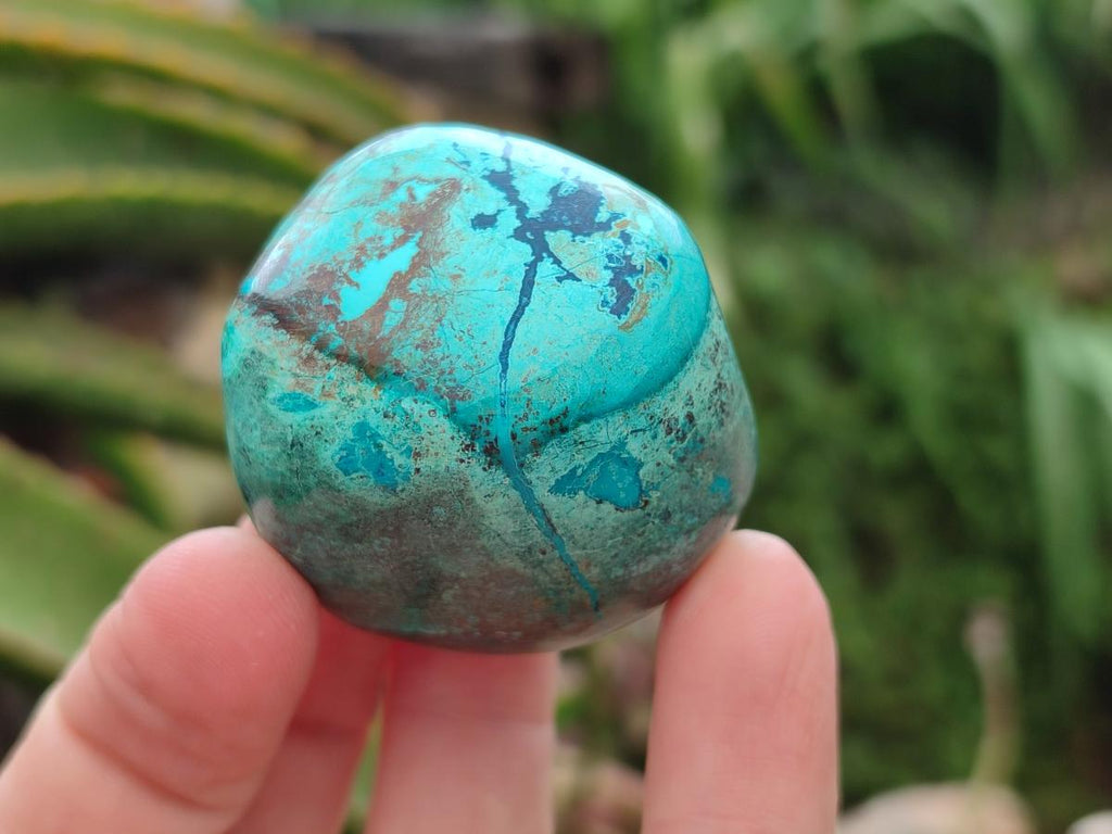 Polished Shattuckite Free Forms x 6 From Kaokoveld, Namibia