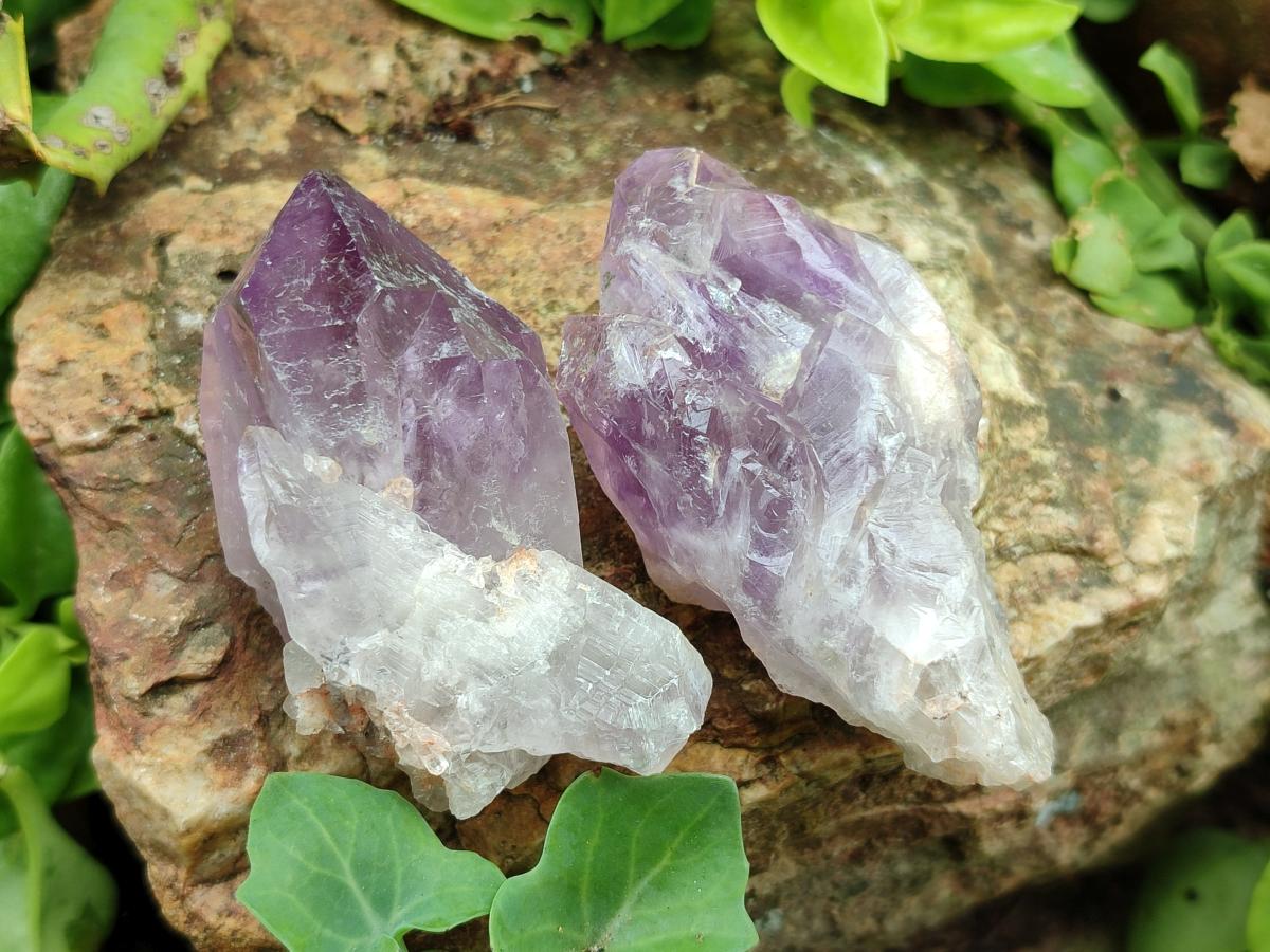 Natural Jacaranda Amethyst Single Crystals x 20 From Mumbwa, Zambia