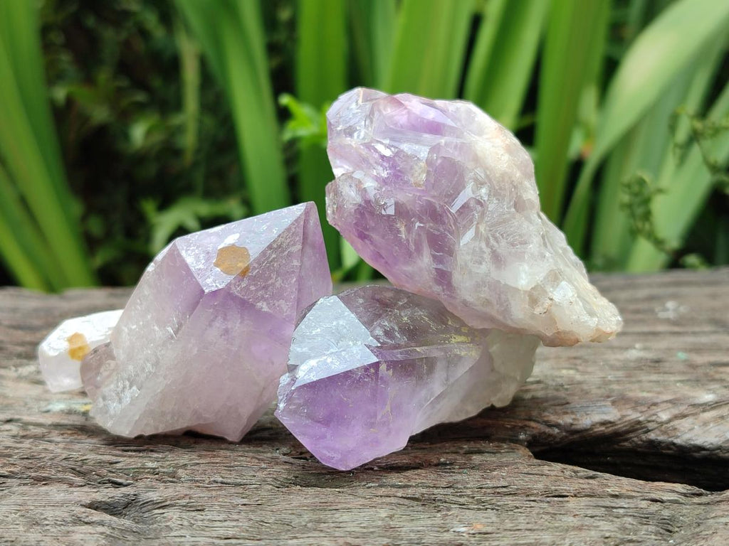 Natural Jacaranda Amethyst Single Crystals x 20 From Mumbwa, Zambia