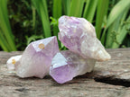 Natural Jacaranda Amethyst Single Crystals x 20 From Mumbwa, Zambia