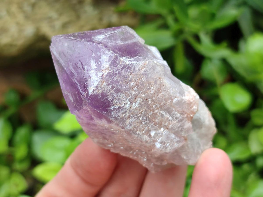 Natural Jacaranda Amethyst Single Crystals x 20 From Mumbwa, Zambia
