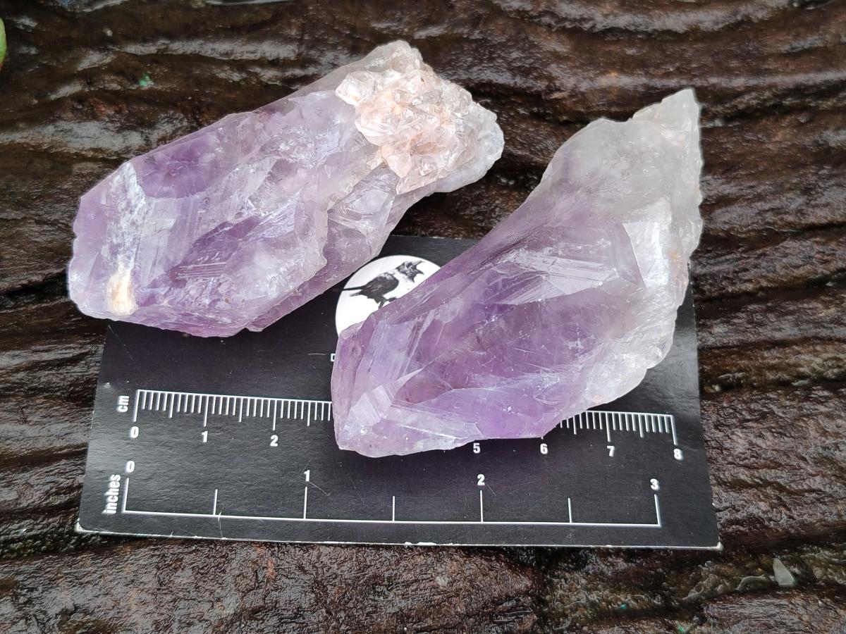 Natural Jacaranda Amethyst Single Crystals x 20 From Mumbwa, Zambia