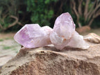 Natural Jacaranda Amethyst Single Crystals x 20 From Mumbwa, Zambia