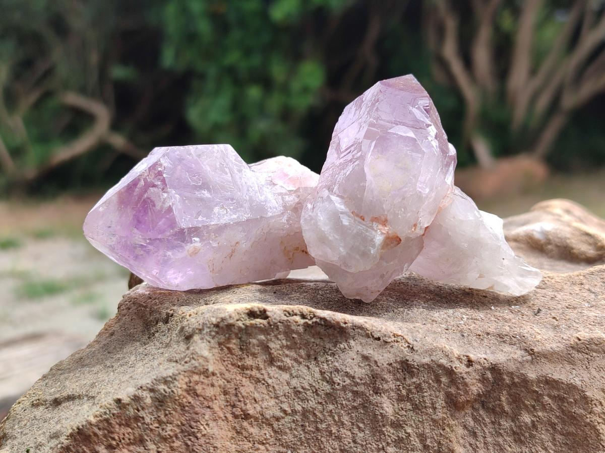 Natural Jacaranda Amethyst Single Crystals x 20 From Mumbwa, Zambia