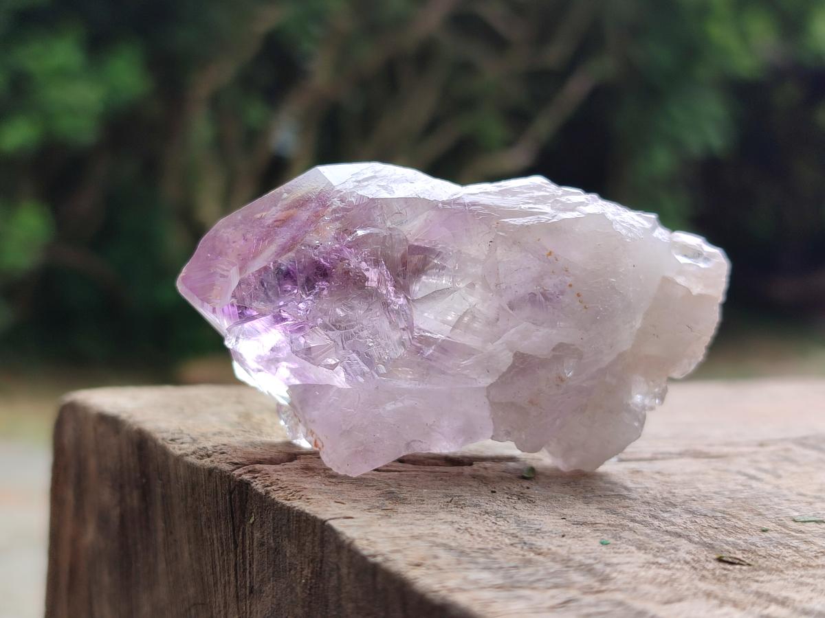 Natural Jacaranda Amethyst Single Crystals x 20 From Mumbwa, Zambia