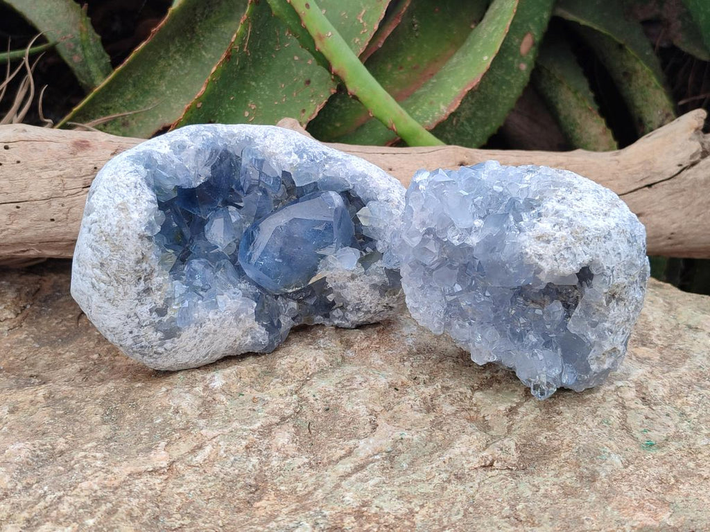 Natural Blue Celestite Geode Cluster Specimens x 2 From Sakoany, Madagascar
