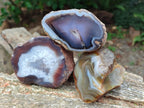Polished One Side Red Shashe River Agate Nodules x 6 From Shashe River, Zimbabwe