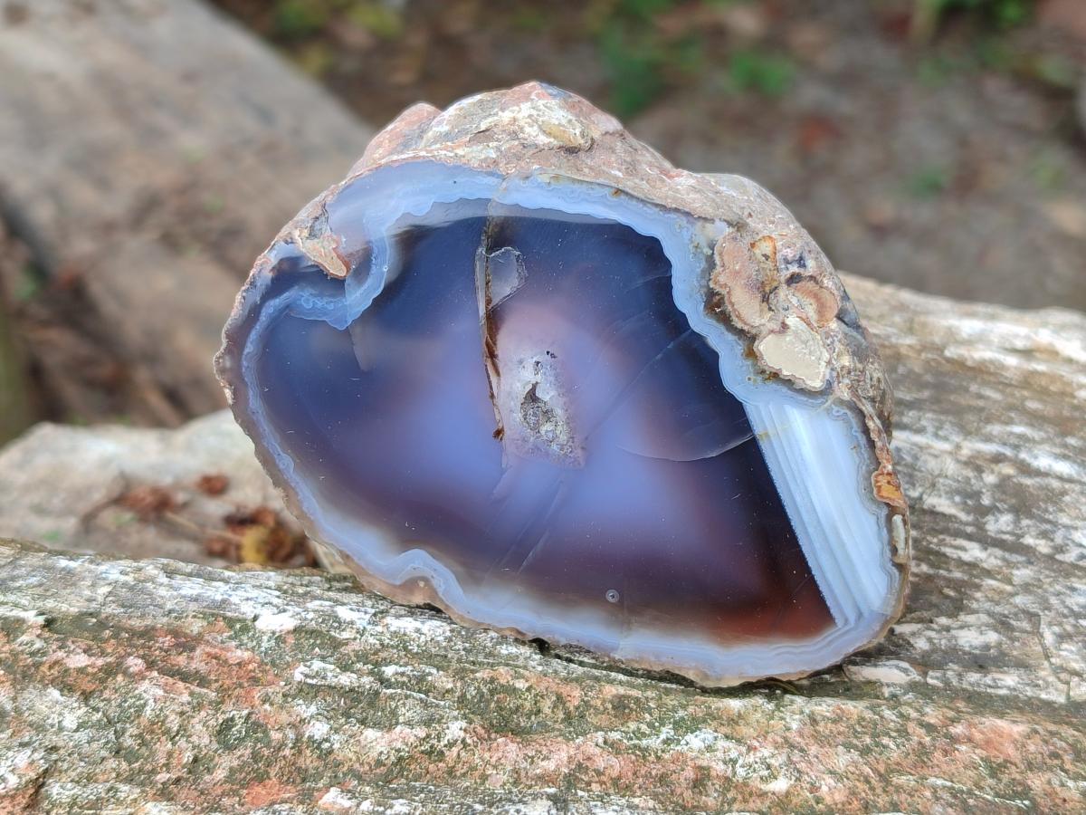Polished One Side Red Shashe River Agate Nodules x 6 From Shashe River, Zimbabwe