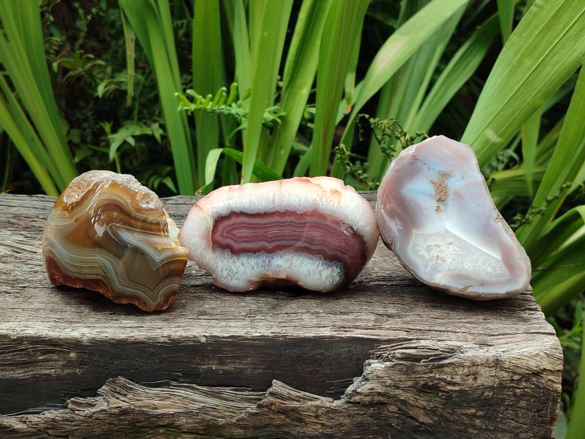 Polished One Side Red Shashe River Agate Nodules x 6 From Shashe River, Zimbabwe