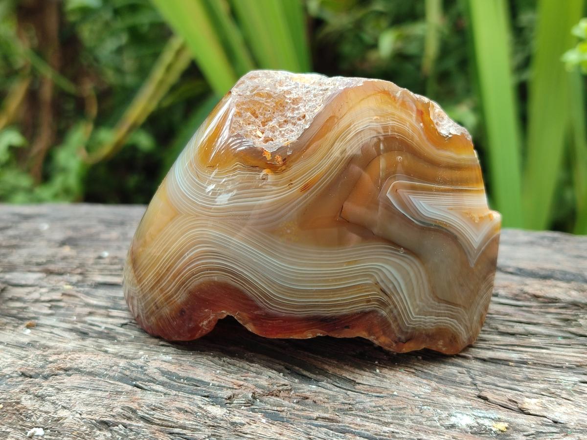 Polished One Side Red Shashe River Agate Nodules x 6 From Shashe River, Zimbabwe
