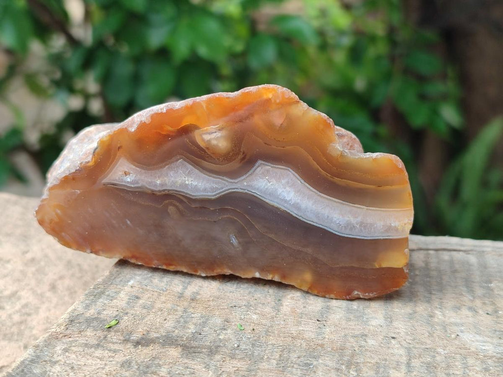 Polished One Side Red Shashe River Agate Nodules x 6 From Shashe River, Zimbabwe