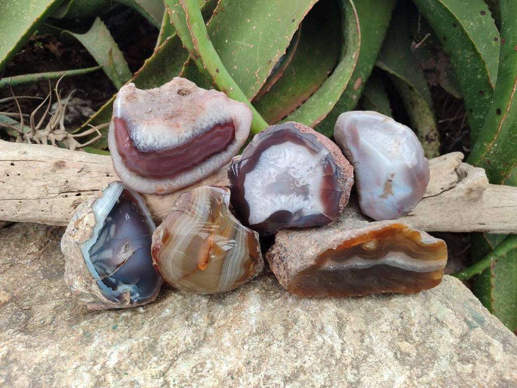 Polished One Side Red Shashe River Agate Nodules x 6 From Shashe River, Zimbabwe