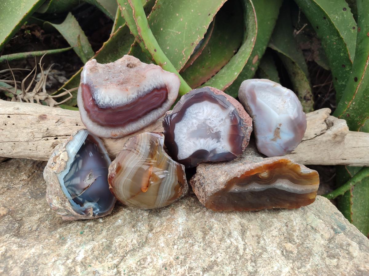 Polished One Side Red Shashe River Agate Nodules x 6 From Shashe River, Zimbabwe