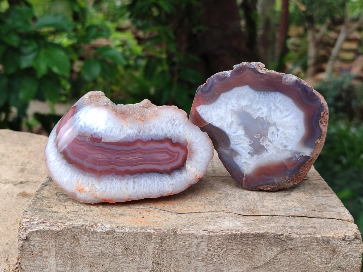 Polished One Side Red Shashe River Agate Nodules x 6 From Shashe River, Zimbabwe