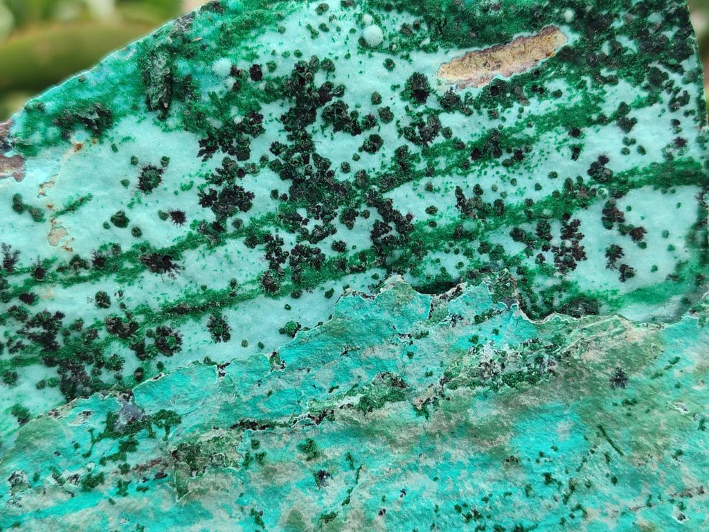 Natural Drusy Coated Chrysocolla with Malachite on Dolomite Specimens x 2 From Lupoto Mine, Congo