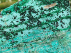 Natural Drusy Coated Chrysocolla with Malachite on Dolomite Specimens x 2 From Lupoto Mine, Congo