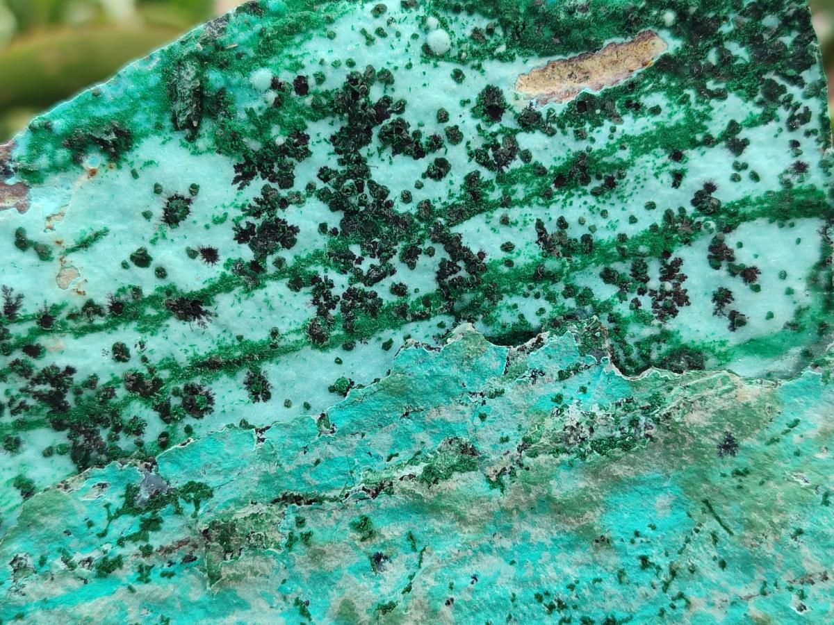 Natural Drusy Coated Chrysocolla with Malachite on Dolomite Specimens x 2 From Lupoto Mine, Congo